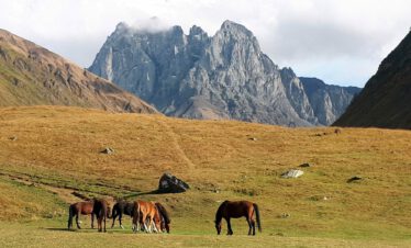 Referenz Kaukasus-Reisen