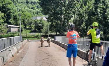 Bicycle tour cycling trip bike tour MTB mountain bike journey Georgia Tbilisi Batumi Caucasus road landscape Tsalka Paravani Vardzia Borjomi Abastumani Guria Black Sea Kaukasus-Reisen small group individual book proposal route guide