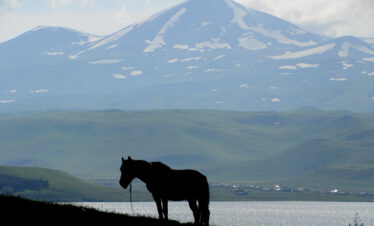 Bicycle tour cycling trip bike tour MTB mountain bike journey Georgia Tbilisi Batumi Caucasus road landscape Tsalka Paravani Vardzia Borjomi Abastumani Guria Black Sea Kaukasus-Reisen small group individual book proposal route guide