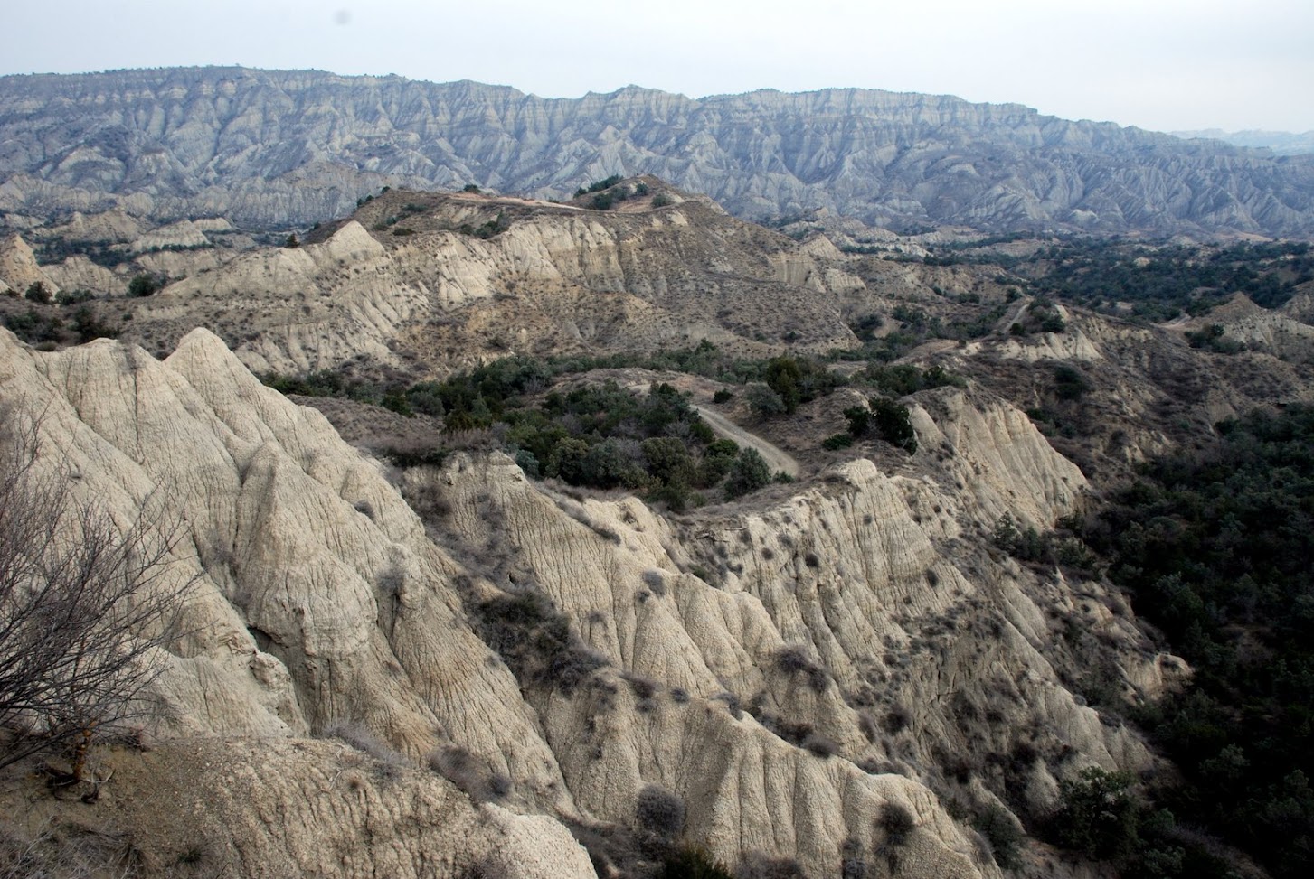 Extensive eroded sandstone formations with juniper and yew forests in Vashlovani National Park, Georgia – aerial perspective