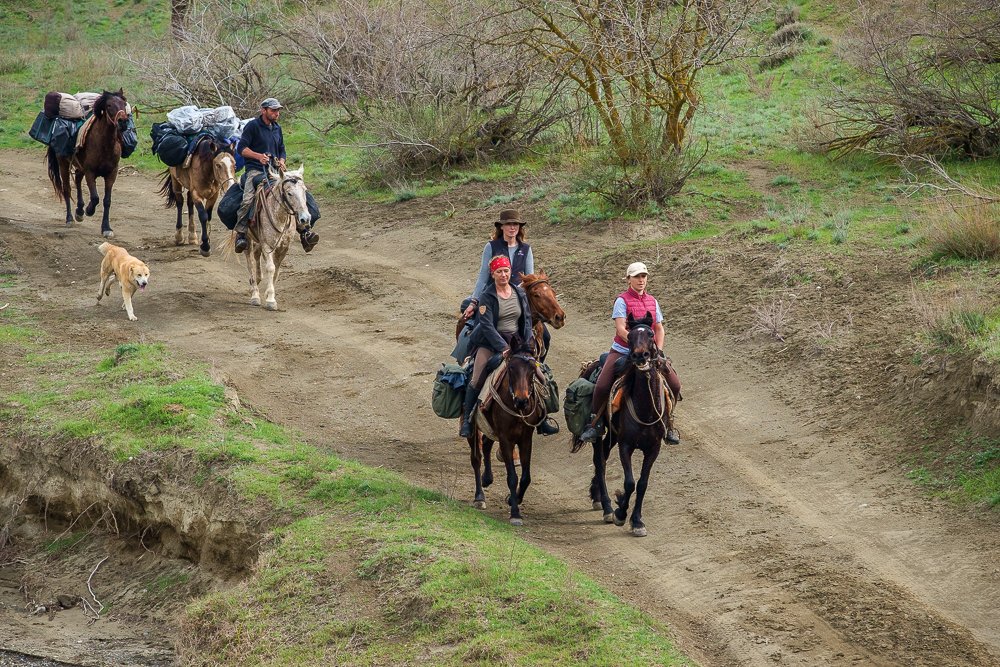 Riding group with guide and pack horses crossing a narrow earth ravine in Vashlovani National Park, Georgia