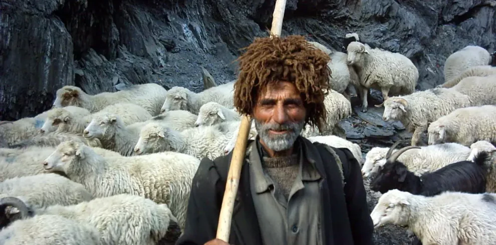 Elderly Tushetian shepherd wearing a traditional brown fur hat, holding a wooden staff, surrounded by his sheep and goat flock against dark rock walls, Georgia
