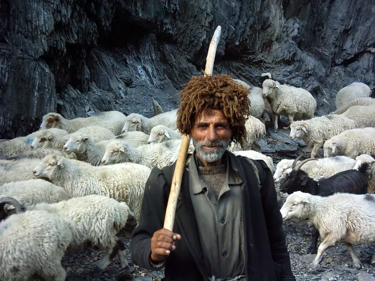 Elderly Tushetian shepherd wearing a traditional brown fur hat, holding a wooden staff, surrounded by his sheep and goat flock against dark rock walls, Georgia