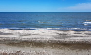 Flat shell and pebble beach on the Caspian Sea under a blue sky, Azerbaijan