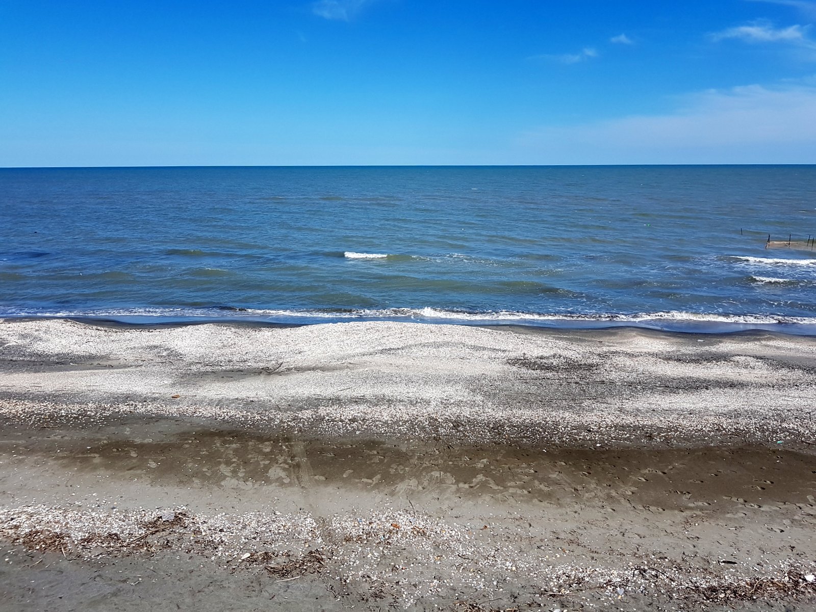 Flat shell and pebble beach on the Caspian Sea under a blue sky, Azerbaijan